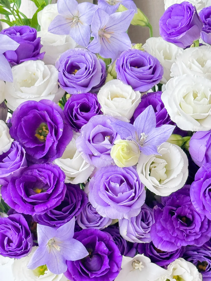 💐Lisianthus – Időtlen szépség, örök szerelem💫
