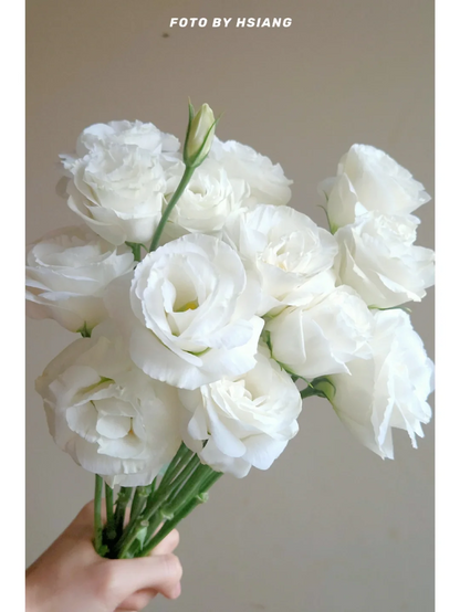 💐Lisianthus – Időtlen szépség, örök szerelem💫